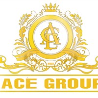 Công ty cổ phần đầu tư ACE